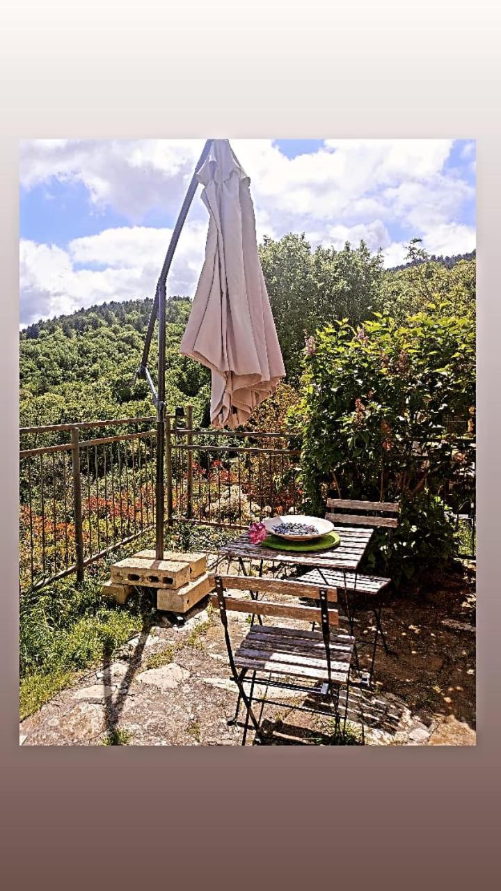Casetta Nel Podere Di Massi Barberino di Mugello Exterior foto